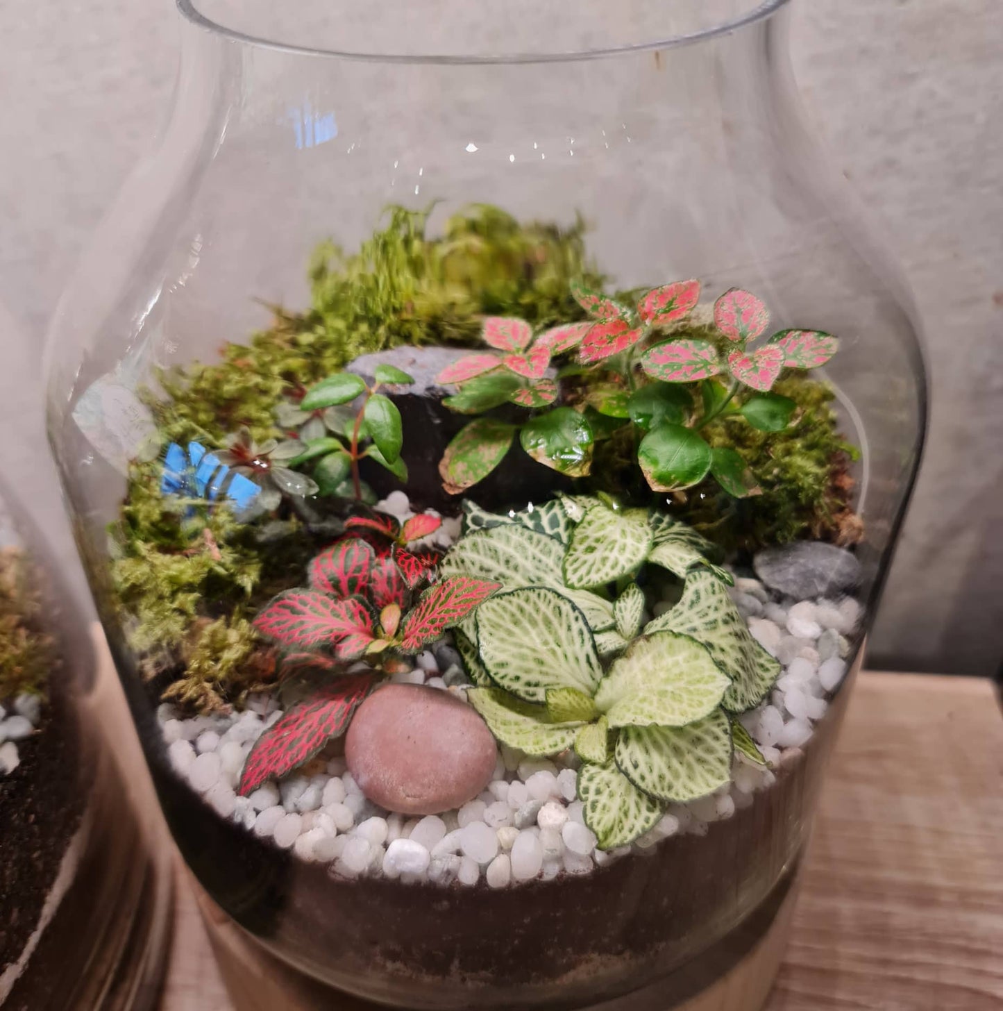 Wood Based Terrarium
