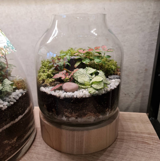 Wood Based Terrarium